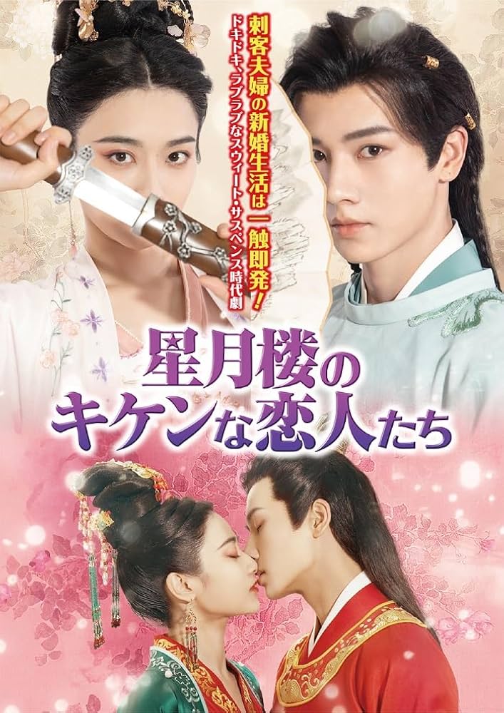 Amazon.co.jp: 星月楼のキケンな恋人たち DVD-BOX : ジン